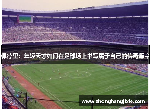 佩德里：年轻天才如何在足球场上书写属于自己的传奇篇章